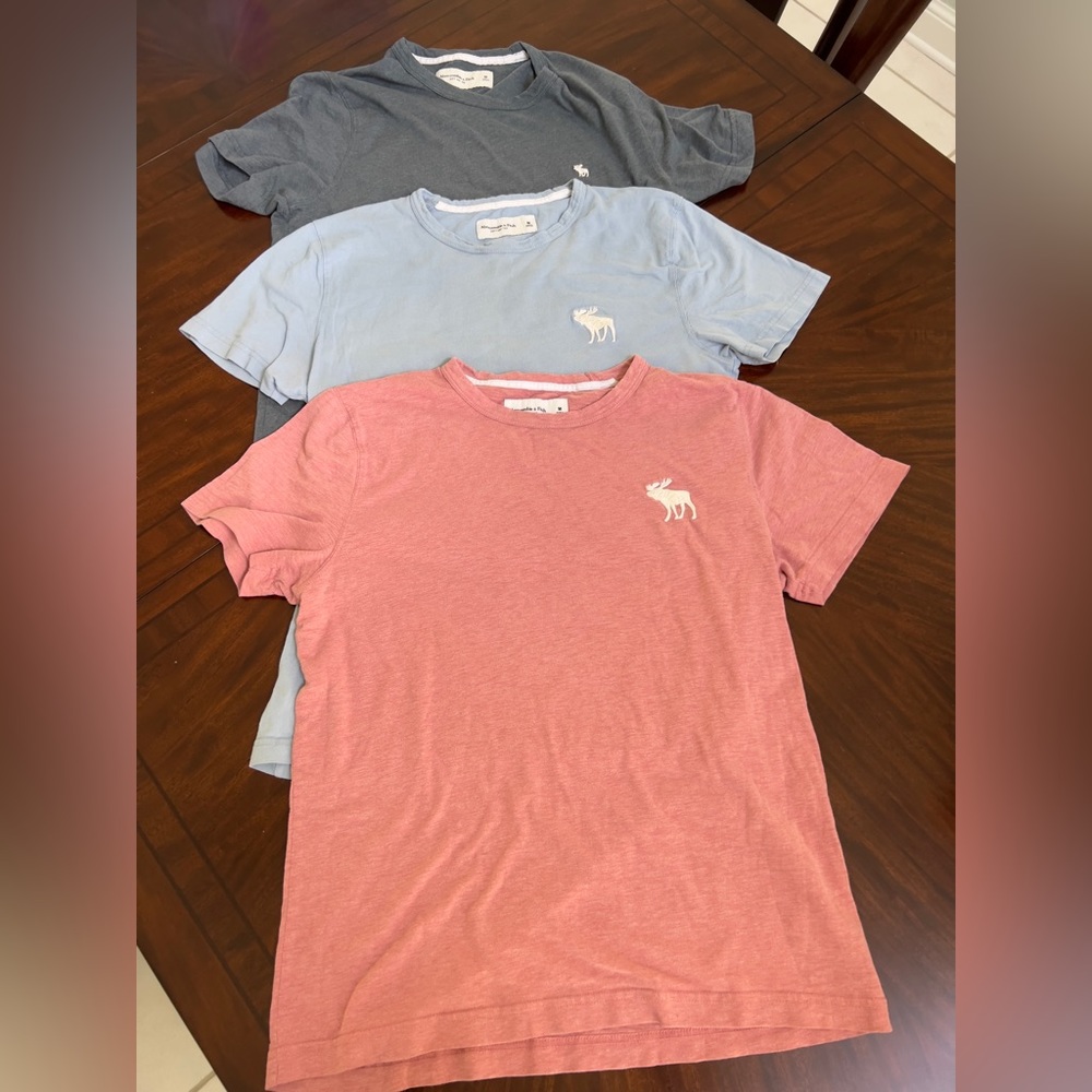 3 Men’s Medium Abercrombie and Fitch tshirts
